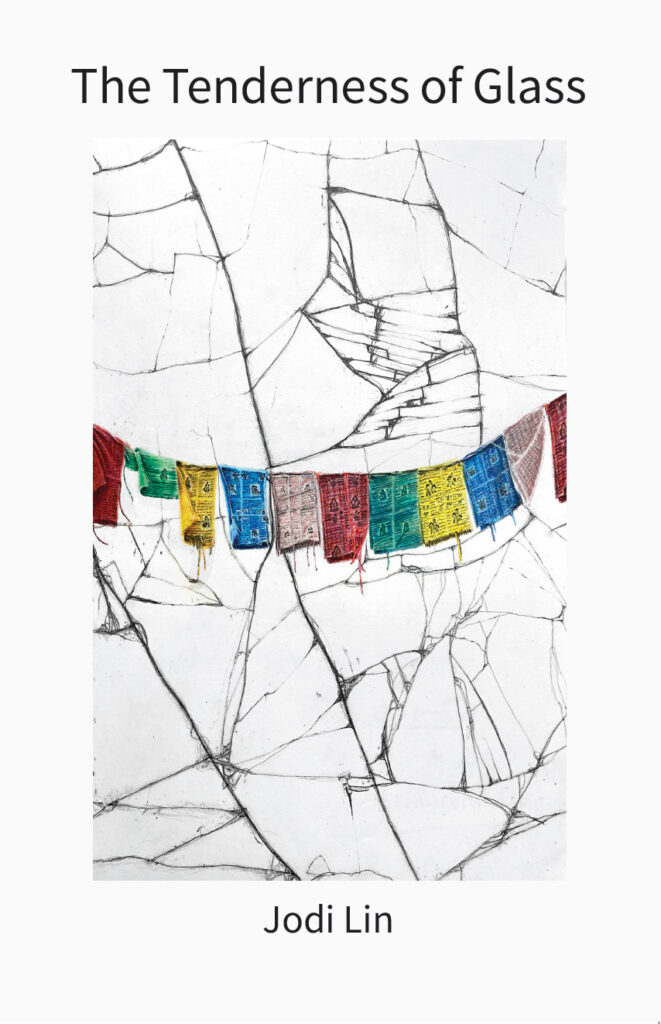 Cover of The Tenderness of Glass. Clothes line with multi-colored rugs and a pencil drawing of broken glass in the background